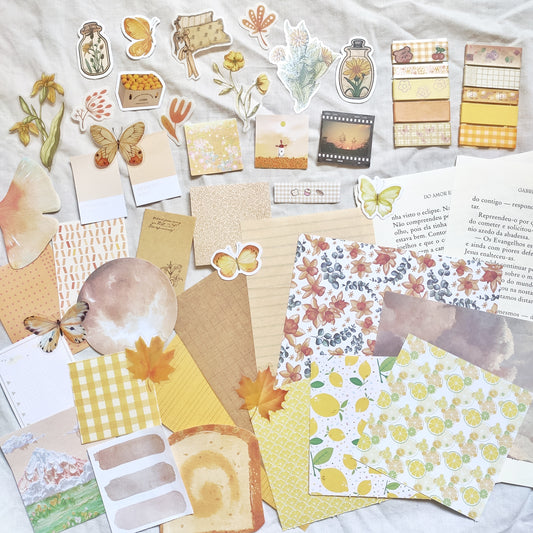 Sunshine Burst Stationery Grab Bag 🌻🦋- March Bag