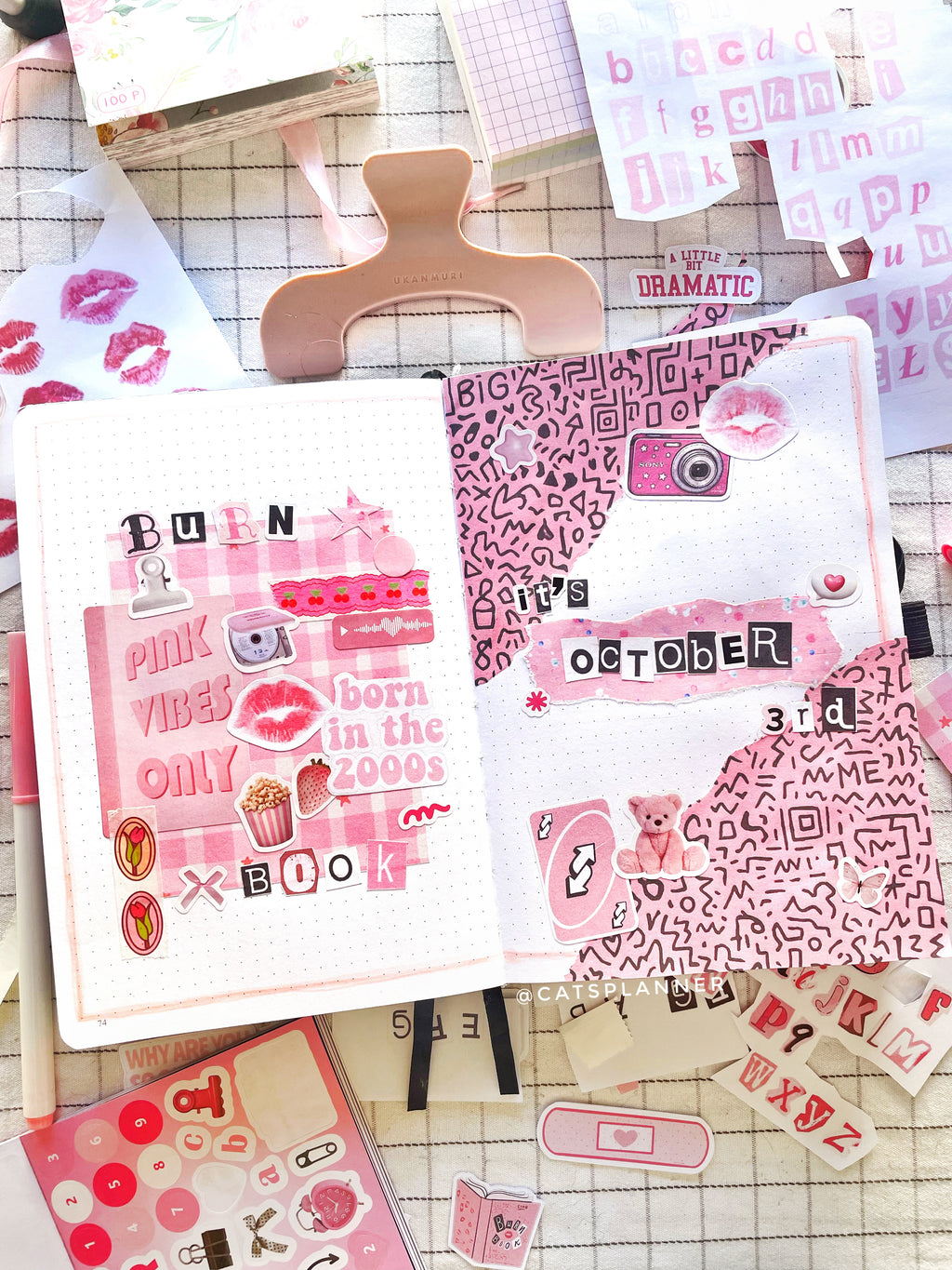 Berry Coquette Sticker Sheets