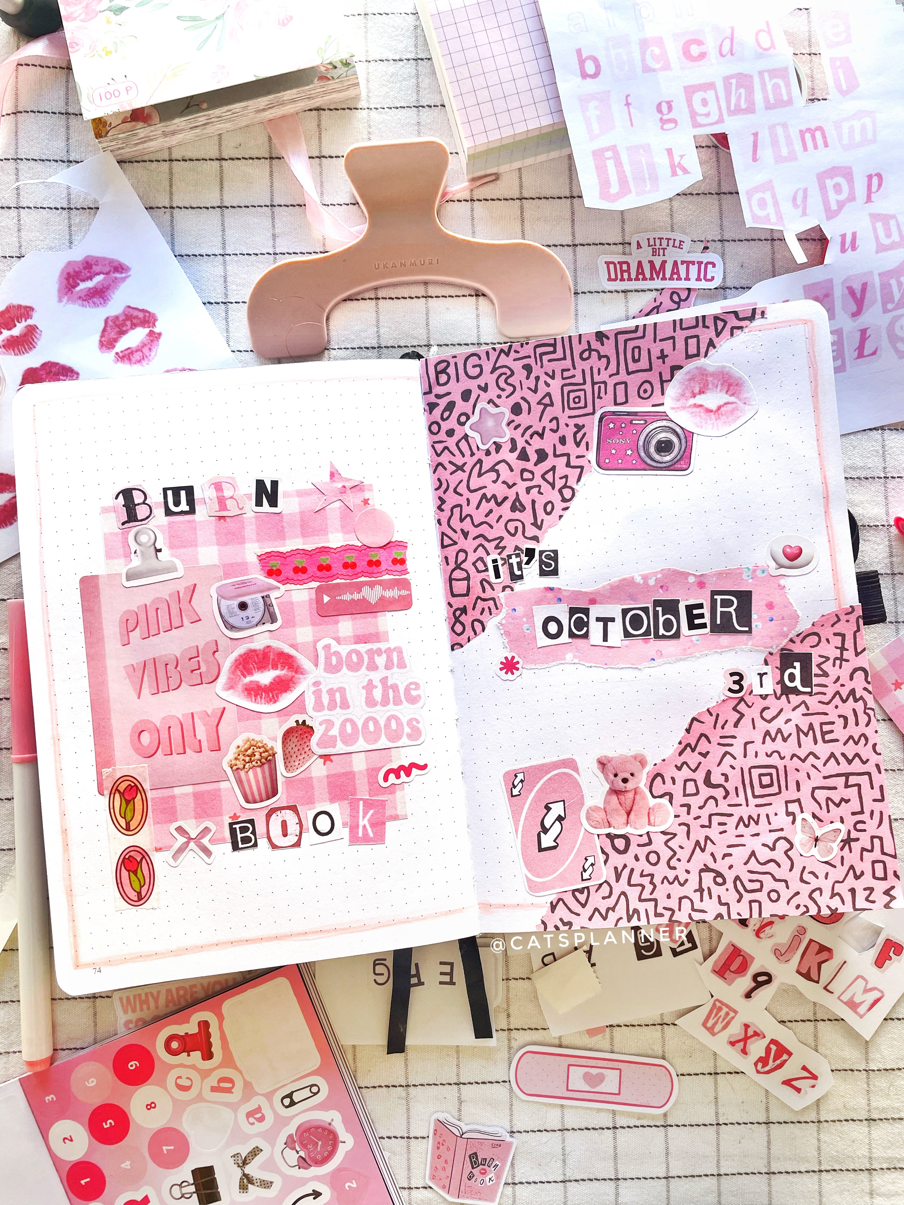 Berry Coquette Sticker Sheets